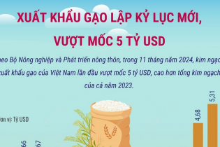 Xuất khẩu gạo lập kỷ lục mới, vượt mốc 5 tỷ USD sau 11 tháng năm 2024