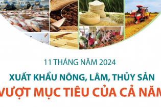 Xuất khẩu nông, lâm, thủy sản đã vượt mục tiêu của cả năm 2024