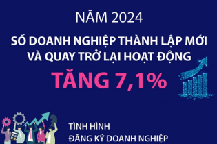 Năm 2024, số doanh nghiệp thành lập mới và quay trở lại hoạt động tăng 7,1%