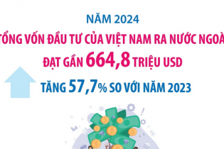 Năm 2024, đầu tư của Việt Nam ra nước ngoài tăng 57,7%