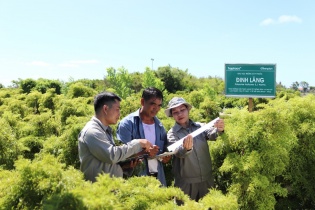 Đông dược cao cấp và xu hướng tiêu dùng mới của người Việt