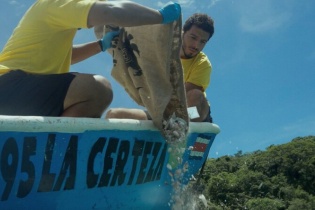 Dự án Trở về nhà của FIFCO: Nhờ AI, Costa Rica trả lại hơn 36.000 vỏ sò về với môi trường biển