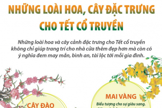 Những loài hoa, cây đặc trưng cho Tết cổ truyền