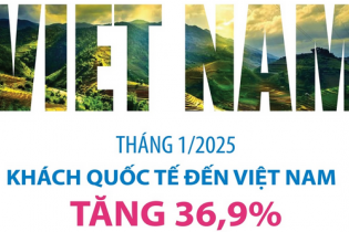 Khách quốc tế đến Việt Nam tháng 1/2025 tăng 36,9%
