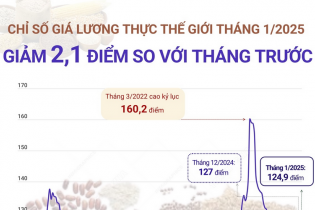 FAO: Chỉ số giá lương thực thế giới tháng 1/2025 hạ nhiệt do giá đường và dầu thực vật giảm