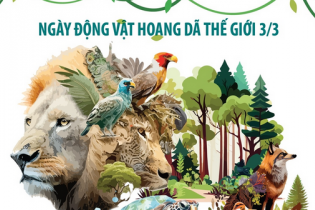 Ngày Động vật hoang dã thế giới 3/3: Những con số báo động