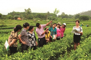 Phấn đấu mỗi năm có 50.000 nông dân được bồi dưỡng, tập huấn nâng cao trình độ, kỹ năng