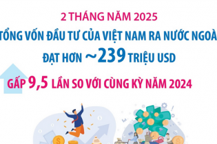 Đầu tư của Việt Nam ra nước ngoài 2 tháng đầu năm 2025 gấp 9,5 lần so với cùng kỳ năm 2024