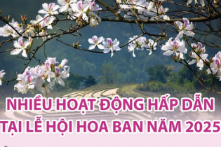Nhiều hoạt động hấp dẫn tại Lễ hội Hoa Ban năm 2025