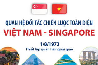 Quan hệ Đối tác Chiến lược toàn diện Việt Nam - Singapore