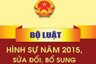 Ban hành Kế hoạch xây dựng dự án Bộ luật Hình sự (sửa đổi)