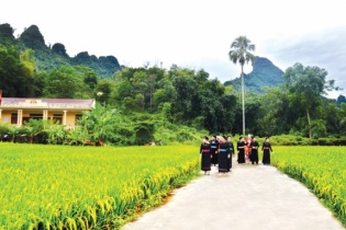 Kịp thời hướng dẫn, tháo gỡ khó khăn trong triển khai các chương trình mục tiêu quốc gia