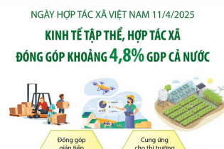 Ngày Hợp tác xã Việt Nam 11/4/2025: Kinh tế tập thể, hợp tác xã đóng góp khoảng 4,8% GDP cả nước