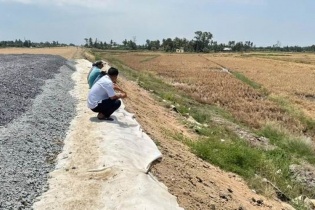 Khẩn trương bồi thường cho người dân có lúa chết cạnh công trường xây dựng cao tốc Cần Thơ - Cà Mau
