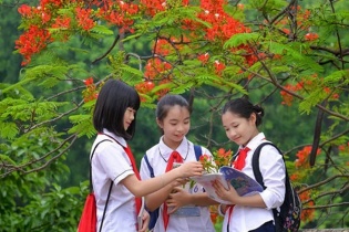 Thủ tướng chỉ đạo 3 vấn đề nóng trong giáo dục