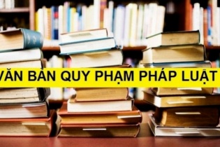 Giải thể Tổ công tác của Thủ tướng Chính phủ về rà soát văn bản quy phạm pháp luật