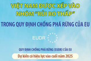 Việt Nam được xếp vào nhóm "rủi ro thấp" trong Quy định chống phá rừng của EU