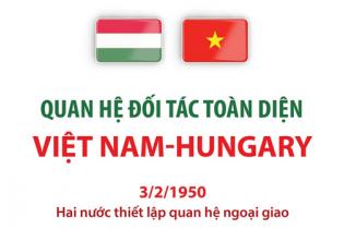 Quan hệ Đối tác toàn diện Việt Nam - Hungary