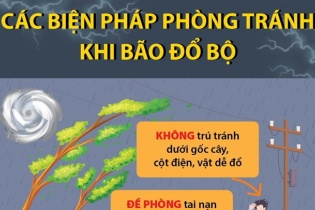 Các biện pháp phòng tránh khi bão đổ bộ