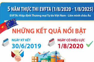 Những kết quả nổi bật sau 5 năm thực thi EVFTA