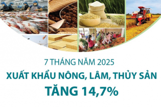 Xuất khẩu nông, lâm, thủy sản tăng 14,7% sau 7 tháng năm 2025