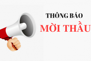 WTO mời thầu thi công cọc khoan nhồi và tường vây dự án KĐT Kim Chung - Di Trạch