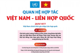 Quan hệ hợp tác Việt Nam - Liên hợp quốc