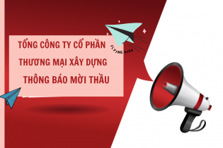 WTO mời thầu gói thầu thi công cọc khoan nhồi, tường vây khu cao tầng HH2 và HH3