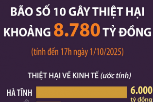 Bão số 10 gây thiệt hại khoảng 8.780 tỷ đồng Bão số 10 gây thiệt hại khoảng 8.780 tỷ đồng
