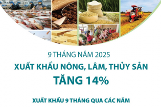 Xuất khẩu nông, lâm, thủy sản tăng 14% sau 9 tháng năm 2025