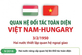 Quan hệ Đối tác toàn diện Việt Nam - Hungary