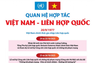 Quan hệ hợp tác Việt Nam - Liên hợp quốc