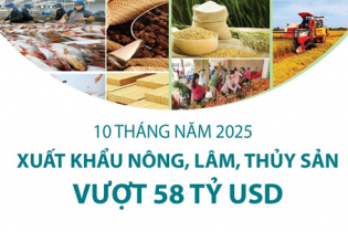 Xuất khẩu nông, lâm, thủy sản vượt 58 tỷ USD sau 10 tháng năm 2025
