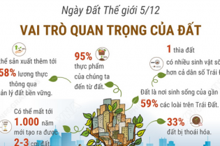 Ngày Đất Thế giới 5/12: Vai trò quan trọng của đất