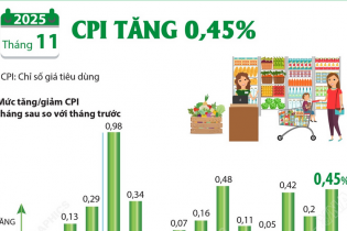 CPI tháng 11/2025 tăng 0,45%