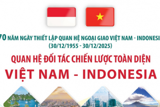 Quan hệ đối tác chiến lược toàn diện Việt Nam - Indonesia