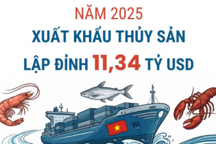 Xuất khẩu thủy sản đạt 11,34 tỷ USD trong năm 2025