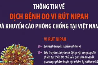 Thông tin về dịch bệnh do vi rút Nipah và khuyến cáo phòng chống tại Việt Nam