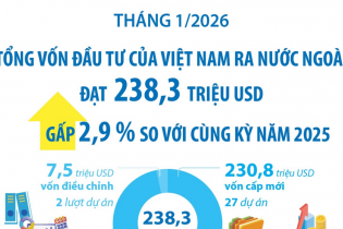 Đầu tư của Việt Nam ra nước ngoài đạt 238,3 triệu USD trong tháng 1/2026, gấp 2,9 lần so với cùng kỳ năm 2025