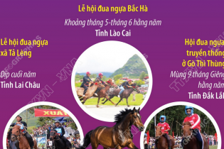 Một số lễ hội và giải đua ngựa truyền thống ở Việt Nam