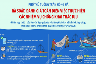 Rà soát, đánh giá toàn diện việc thực hiện các nhiệm vụ chống khai thác IUU