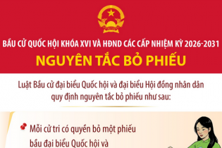 Bầu cử Quốc hội và HĐND: Nguyên tắc bỏ phiếu