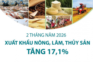 Xuất khẩu nông, lâm, thủy sản tăng 17,1% sau 2 tháng năm 2026