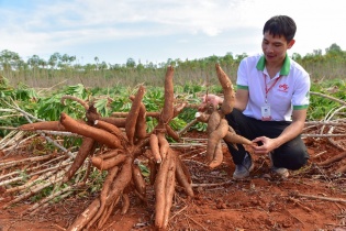 Tập đoàn Ajinomoto - Từ "Khoa học về Axit amin" đến hệ sinh thái công nghệ xanh