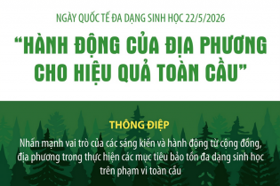 Ngày Quốc tế đa dạng sinh học 22/5: "Hành động của địa phương cho hiệu quả toàn cầu"