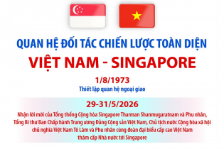 Quan hệ Đối tác chiến lược toàn diện Việt Nam - Singapore