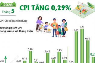 CPI tháng 5/2026 tăng 0,29%
