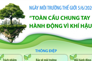 Ngày Môi trường thế giới 5/6/2026: Toàn cầu chung tay hành động vì khí hậu