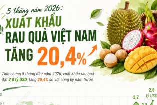 Xuất khẩu rau quả tăng 20,4% sau 5 tháng năm 2026