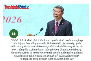 [Insight] Phát triển và hỗ trợ doanh nghiệp là yêu cầu có ý nghĩa chiến lược quốc gia